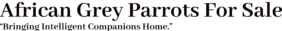 africangreyparrotsforsale.com